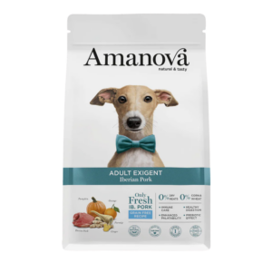 ADULT EXIGENT / Iberian Pork