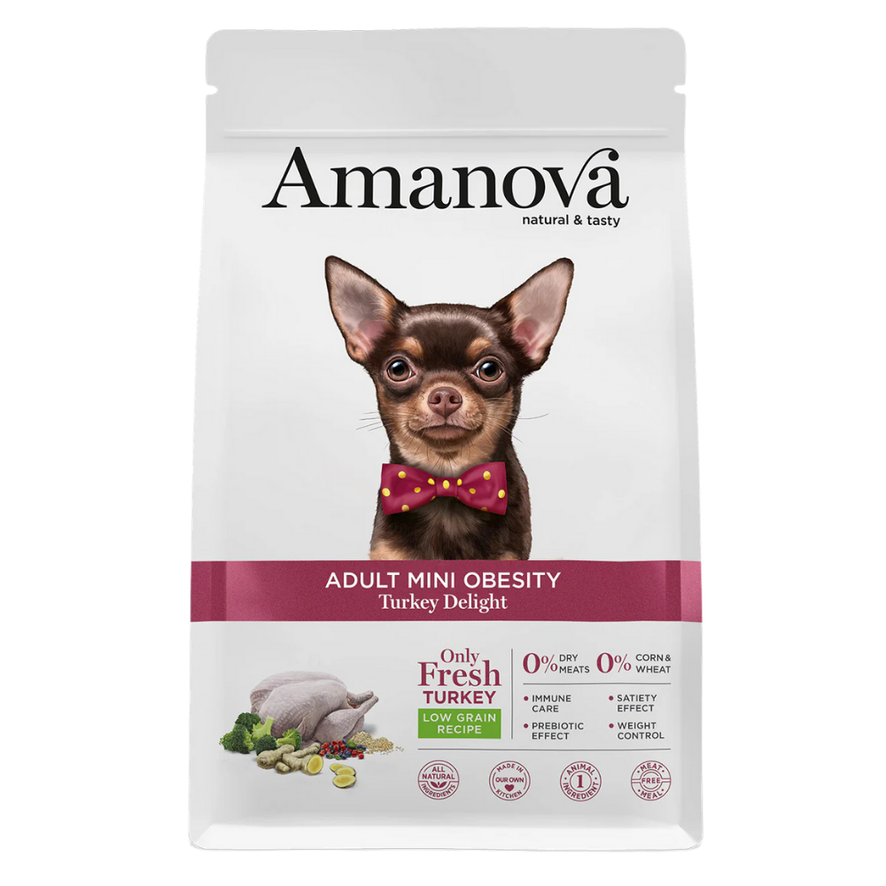ADULT MINI OBESITY / Turkey Delight