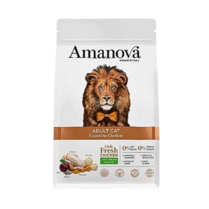 ADULT CAT / Exquisite Chicken