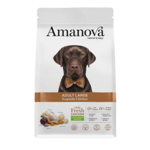 ADULT LARGE / Exquisite Chicken