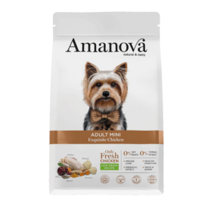 ADULT MINI / Exquisite Chicken
