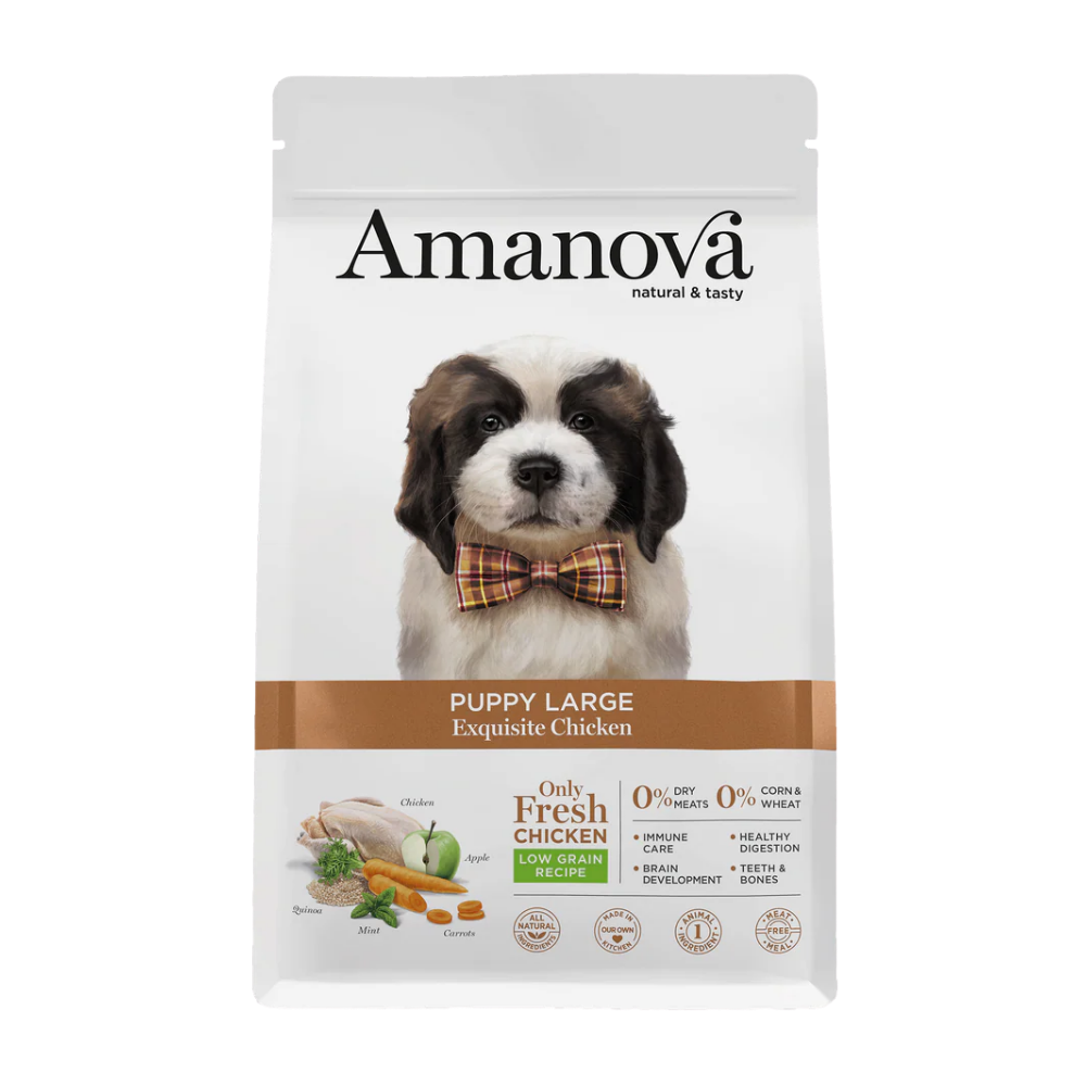 PUPPY LARGE / Exquisite Chicken