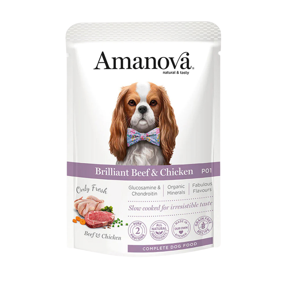 P01 ADULT / Brilliant Beef & Chicken