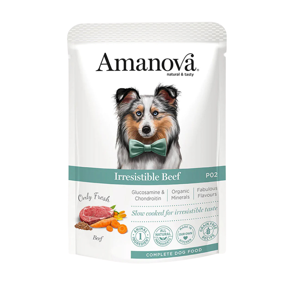 P02 ADULT / Irresistible Beef
