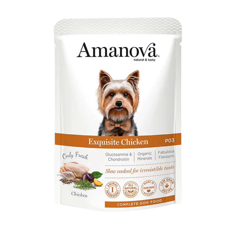 P03 ADULT / Exquisite Chicken