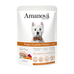 P08 PUPPY / Exquisite Chicken