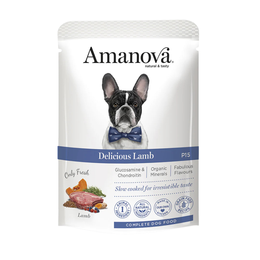 P15 ADULT / Delicious Lamb