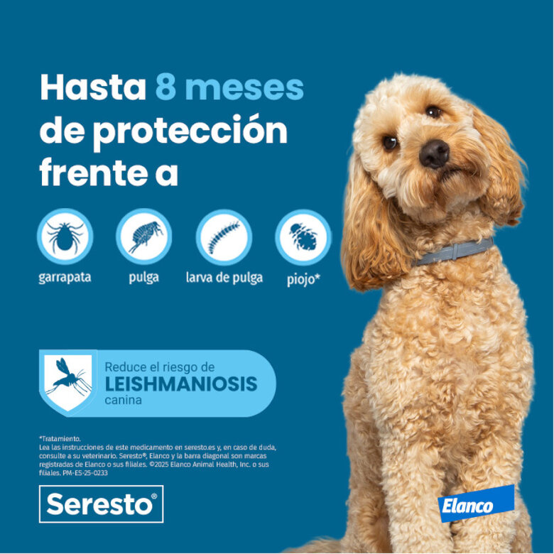Collar Seresto para Perros Pequeños Bayer - Imagen 7
