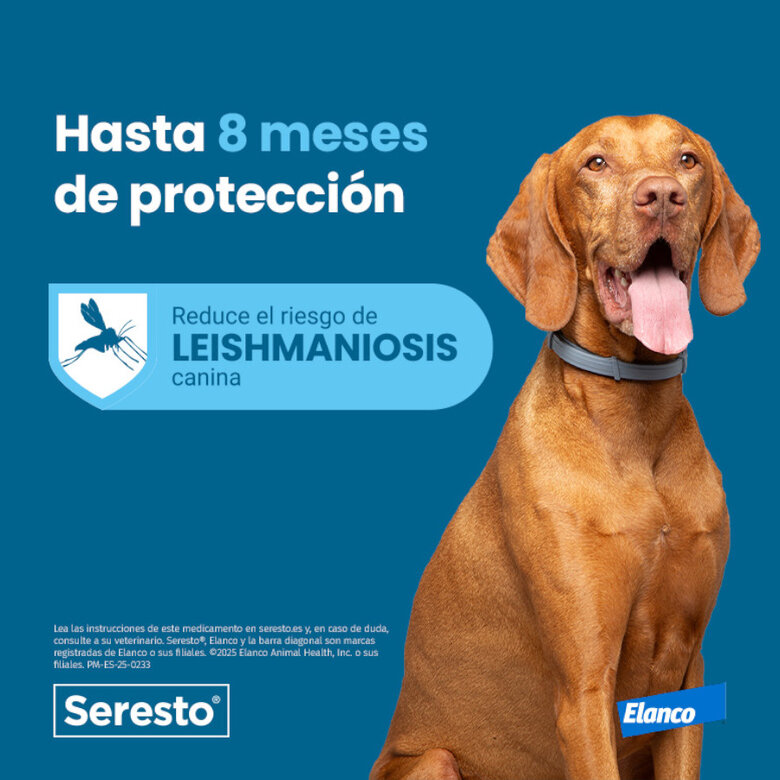 Collar Seresto para Perros Pequeños Bayer - Imagen 5