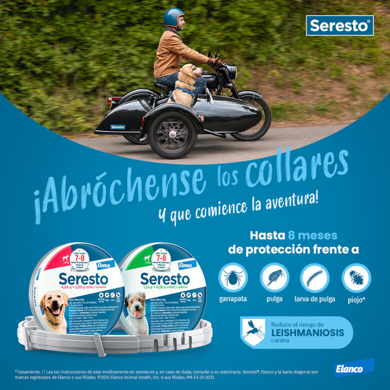 Collar Seresto para Perros Pequeños Bayer - Imagen 4