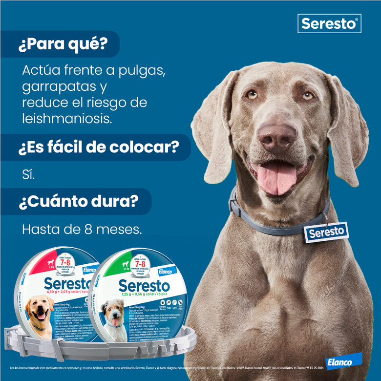 Collar Seresto para Perros Pequeños Bayer - Imagen 3